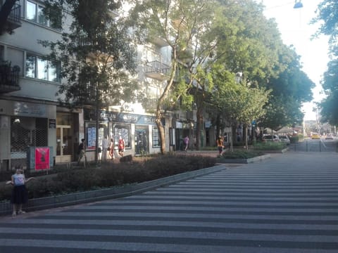 Property building, Street view