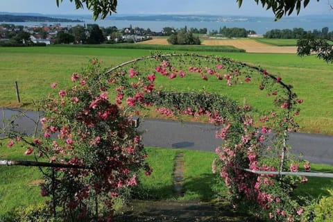 Garden view, Lake view