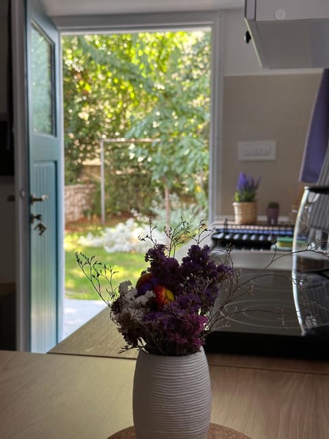Kitchen or kitchenette, Garden view