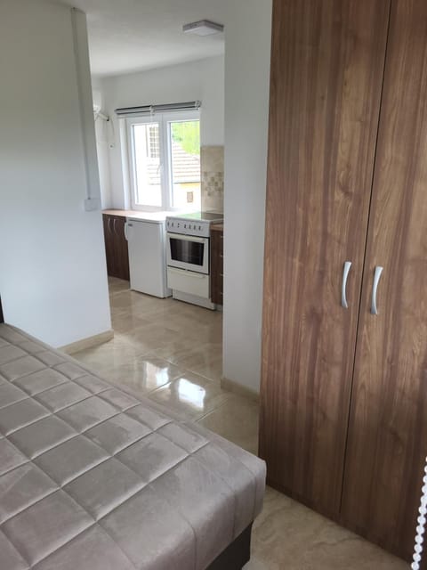 Apartment Pavlović Apartment in Serbia