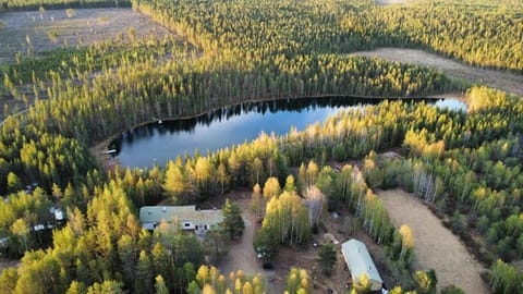 Bird's eye view, Garden