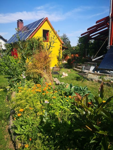 Property building, Garden view