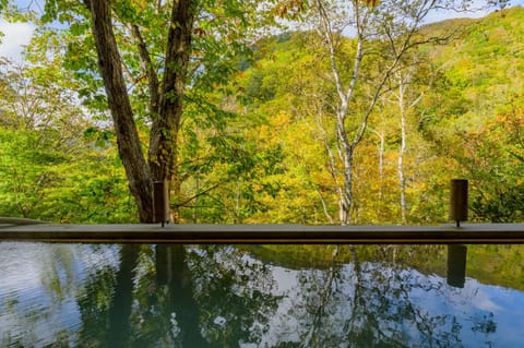 Hot Spring Bath, Open Air Bath