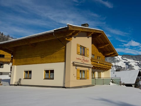 Property building, Winter