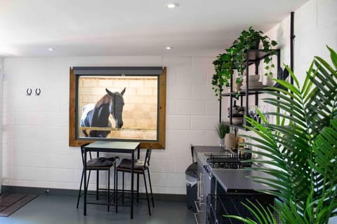 Sleep next to a Horse in a stable by the city ! Apartment in Exeter