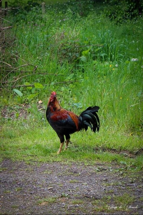 Camping La sablière Campground/ 
RV Resort in Flanders
