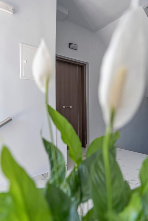 Nikisapartments Kalamata Apartment in Messenia