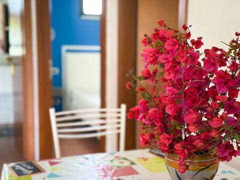 Villa Gladyr Apartment in Sardinia