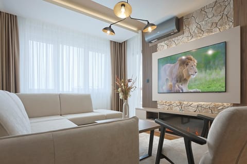 TV and multimedia, Living room, Seating area, flat iron, air conditioner