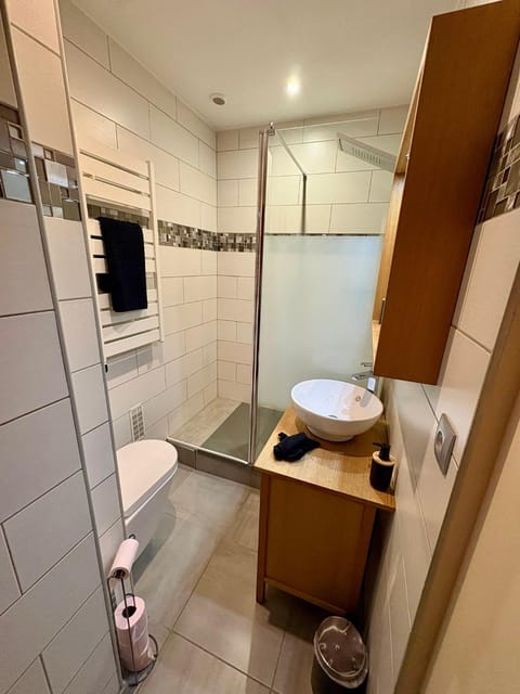 L unique Cinéma Room Apartment in Grenoble