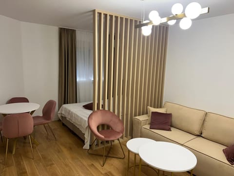 Studio apartman Vivo Central Apartment in Podgorica