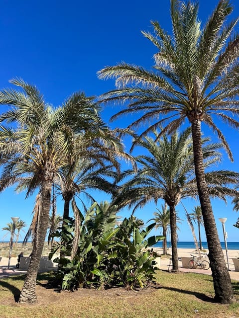 Apartamento Monika Playa y Grau Apartment in Gandia