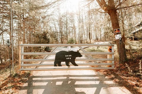 Luxury Mountain Getaway House in Pickens County