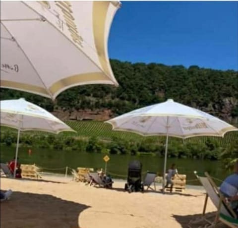 Cozy Central Apartment Hotel in Trier