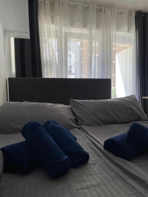 Cozy Central Apartment Hotel in Trier