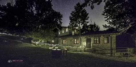 Facade/entrance, Night, Summer