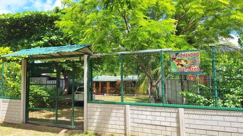 Natural landscape, Garden, Garden view