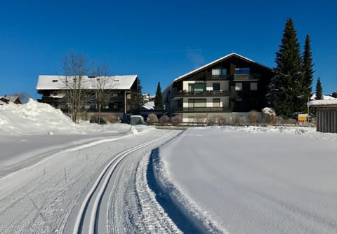 Ferienwohnung Bergrose Apartment in Oberstdorf