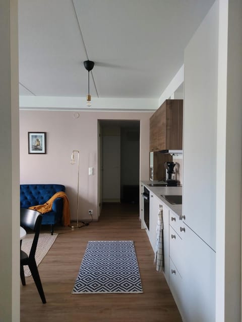 Bed, Kitchen or kitchenette, Living room, Photo of the whole room, Seating area, Dining area, Bedroom, oven, stove