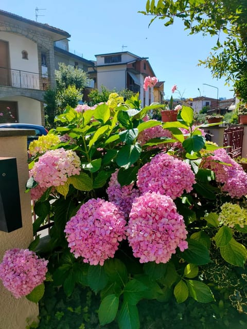 Spring