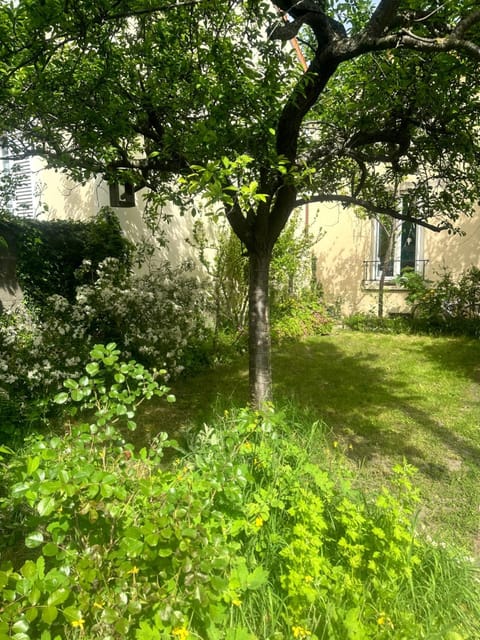 Garden, Garden view