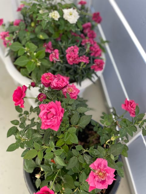 Kotoisa saunallinen kaksio! Apartment in Finland