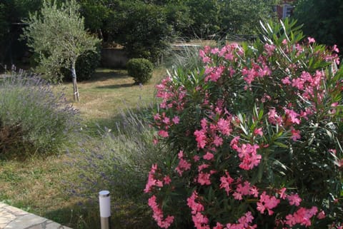 Spring, Garden