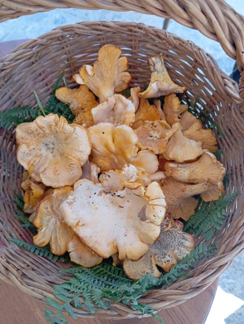 Hotel Ristorante Sturno Hotel in San Menaio