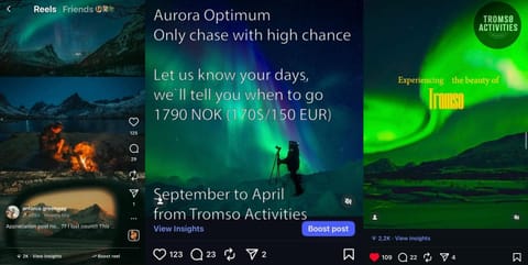 Night, Activities, Seasons