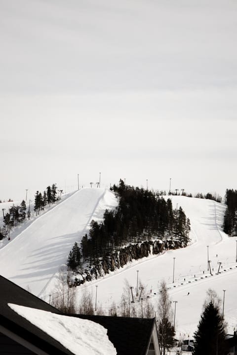 Day, Natural landscape, Winter
