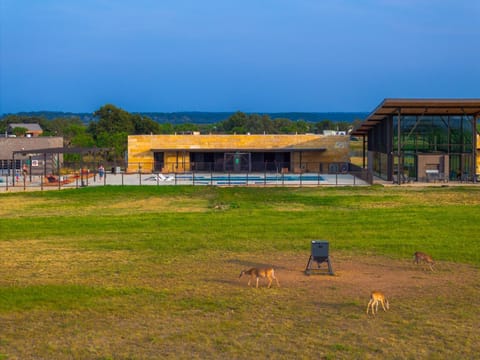 Property building, Natural landscape, Animals, Pool view