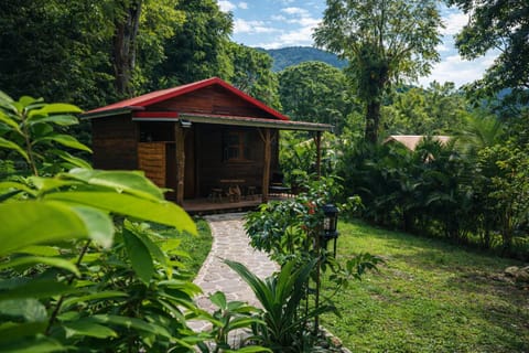 Day, Natural landscape, Garden, Garden view, Mountain view