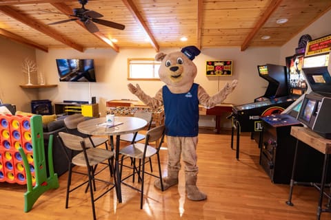 Mt mickelson #2052 House in Big Bear