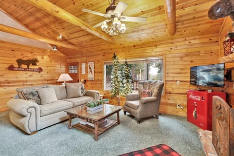 Photo of the whole room