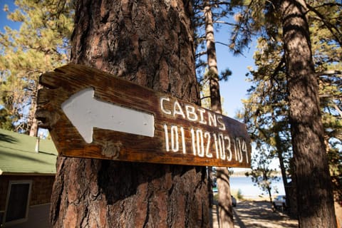 Shore acres lodge #452 House in Big Bear