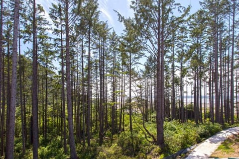 Into the Mystic by Seabrook Hospitality House in Seabrook