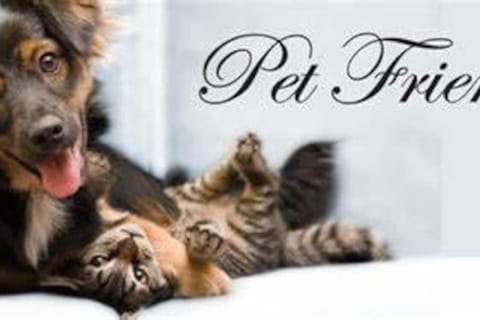 Discover Charm Cozy in the Heart of the City House in Chattanooga