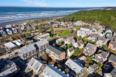 Neighbourhood, Natural landscape, Beach, Location