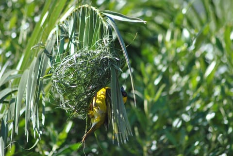 Roundhouse Guesthouse Bed and Breakfast in Franschhoek