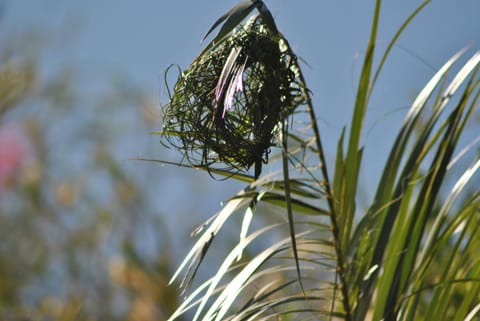Roundhouse Guesthouse Bed and Breakfast in Franschhoek