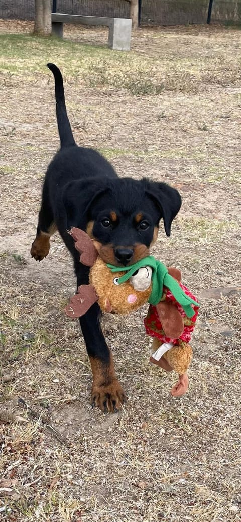 Roundhouse Guesthouse Bed and Breakfast in Franschhoek