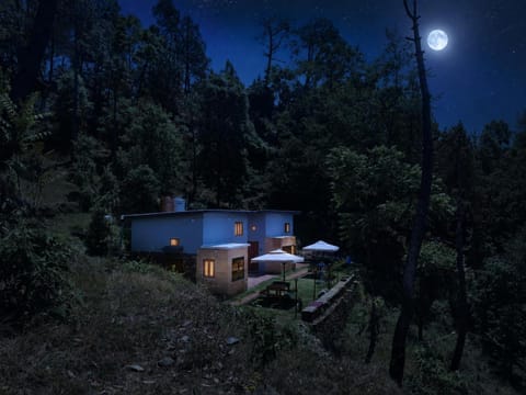 Property building, Night, Natural landscape, Garden view