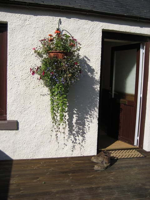 Decorative detail