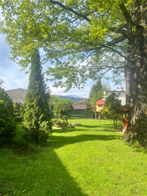 Day, Natural landscape, Garden, Garden view