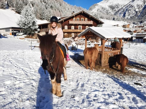 Obenfigerhof Apartment in Salzburgerland