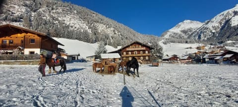Obenfigerhof Apartment in Salzburgerland