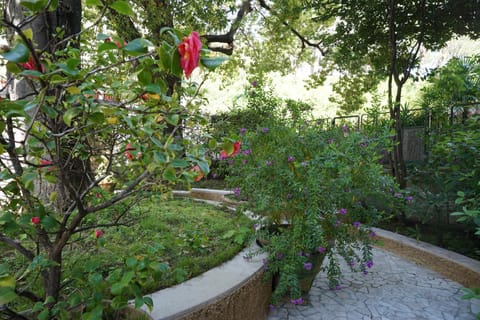 La Casa dell'Albero - mytouristhome Apartment in La Spezia