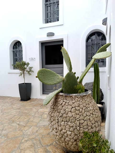 The Lithos Villa by A Terre Cave Villas Villa in Thera