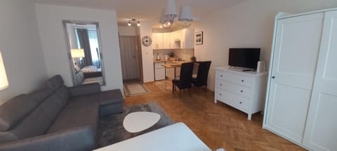 Communal lounge/ TV room, Bed, TV and multimedia, Kitchen or kitchenette, Living room, Seating area, Dining area, Evening entertainment, minibar, wardrobe