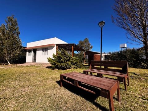 Day, Garden, Garden view